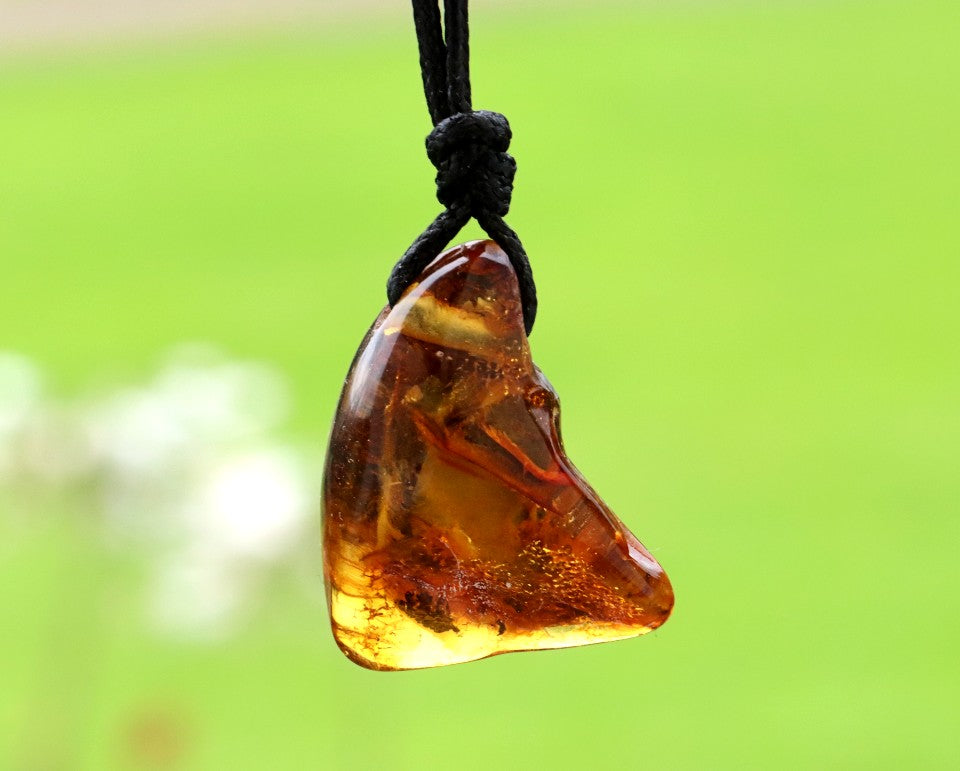 40 Million Year Old Insect in Baltic Amber Amulet