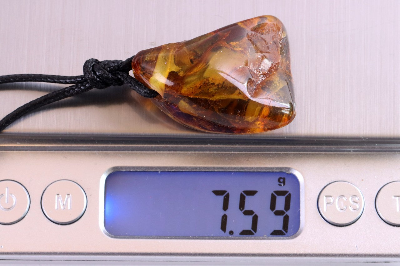 40 Million Year Old Insect in Baltic Amber Amulet