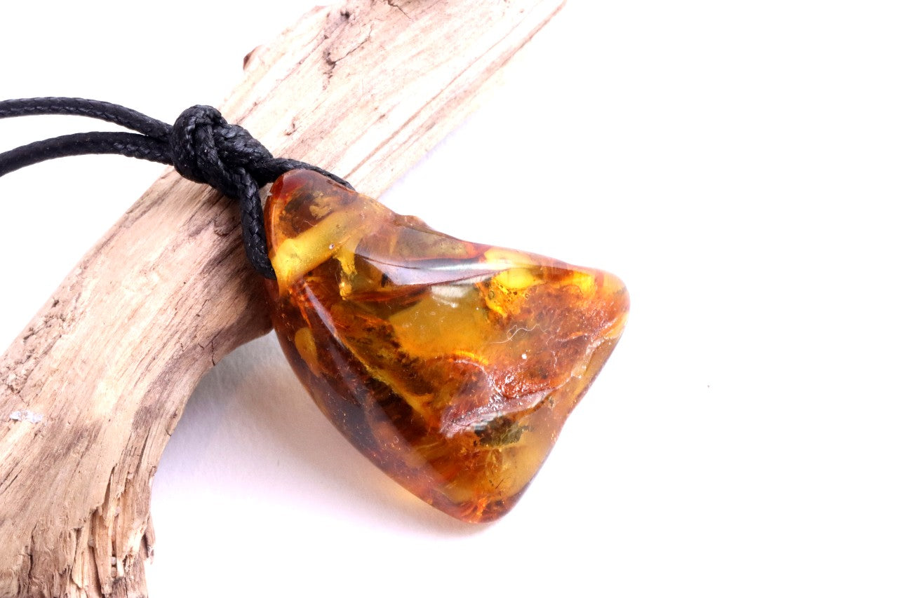 40 Million Year Old Insect in Baltic Amber Amulet