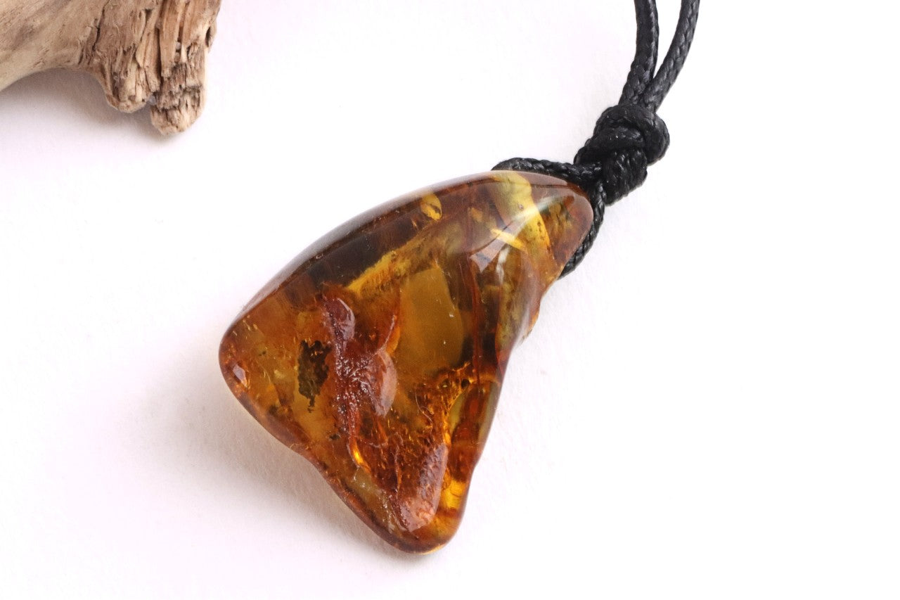 40 Million Year Old Insect in Baltic Amber Amulet