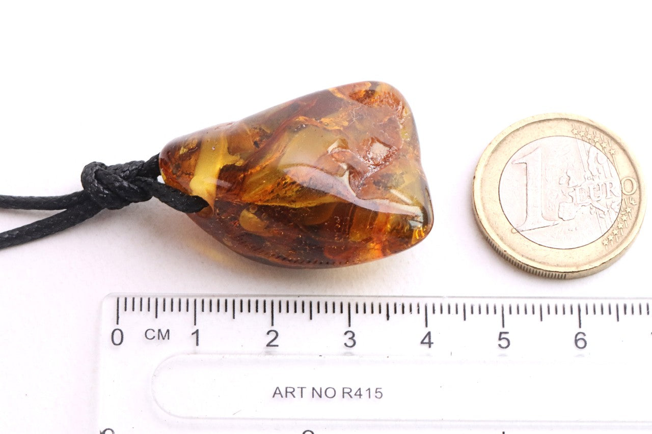 40 Million Year Old Insect in Baltic Amber Amulet