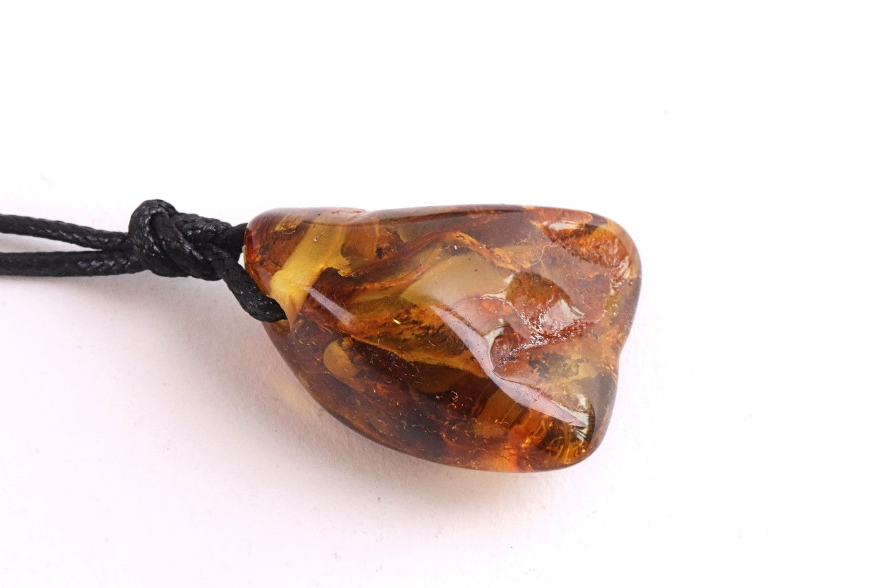 40 Million Year Old Insect in Baltic Amber Amulet