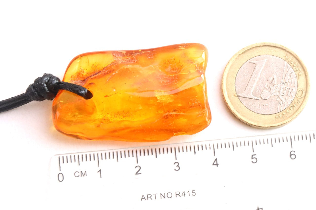 Baltic Amber Amulet with  40m Year Old Fossil Insect Inclusion