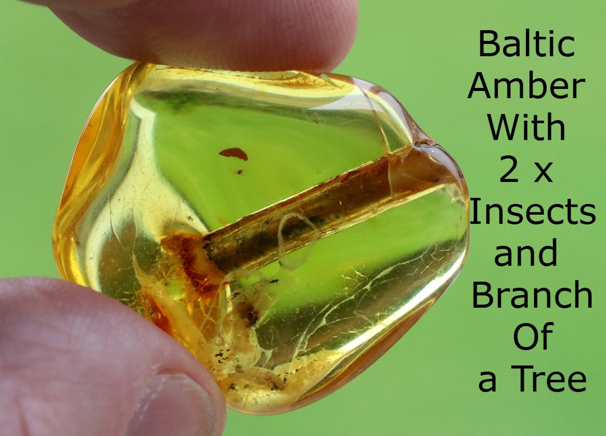 Collector's Amber gem with Branch of tree and 2 X Insects