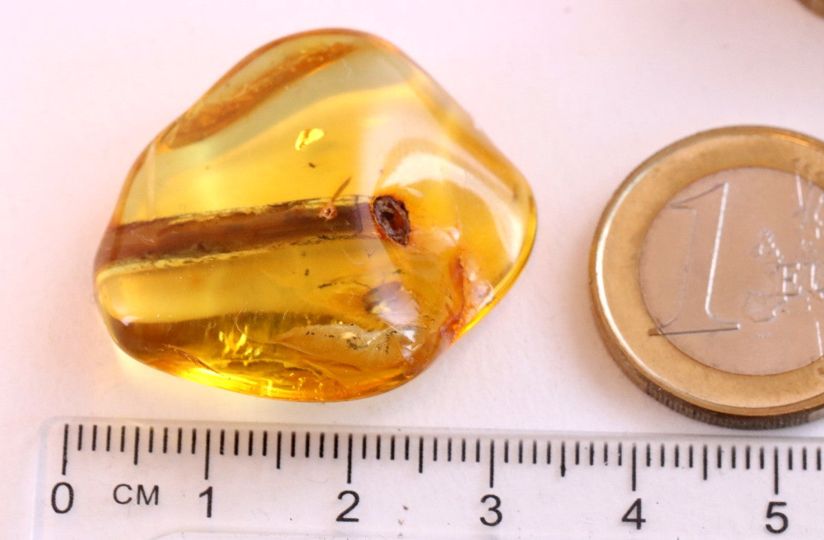 Collector's Amber gem with Branch of tree and 2 X Insects