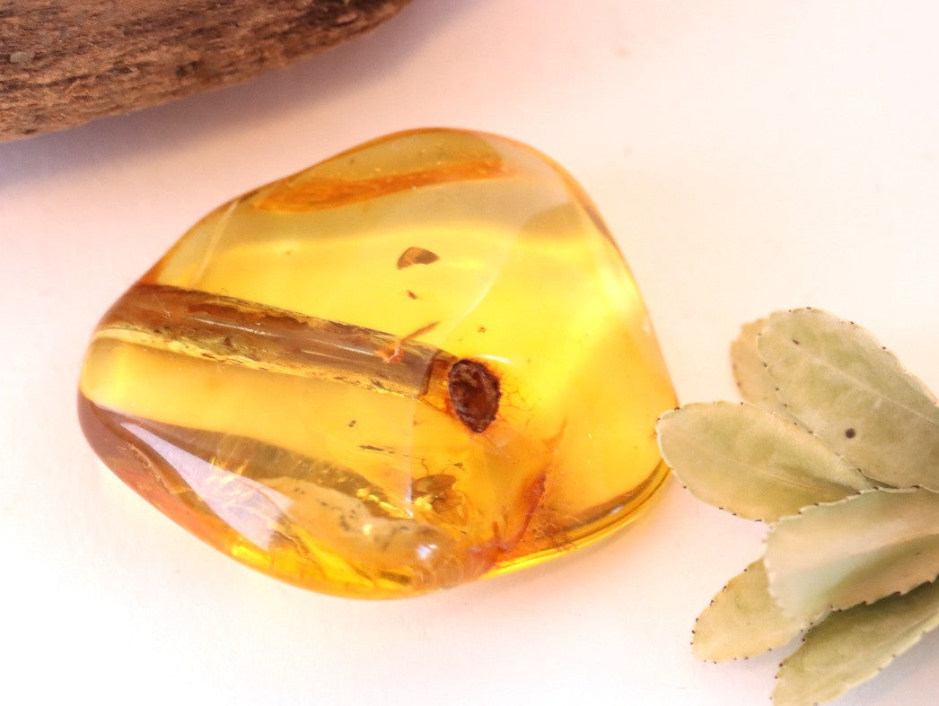 Collector's Amber gem with Branch of tree and 2 X Insects