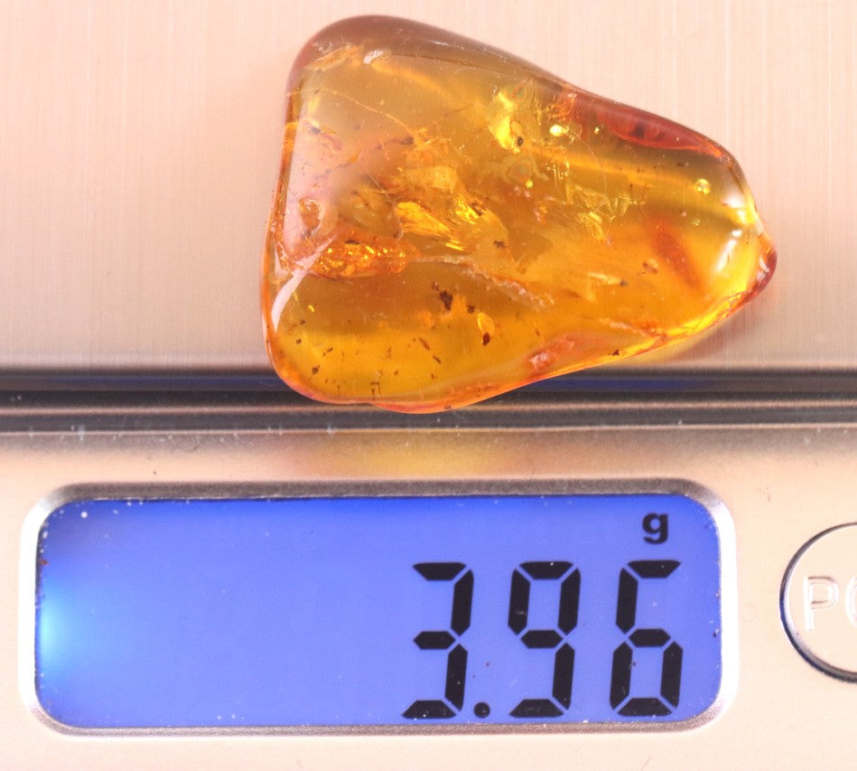 3 X Insect in Baltic Amber