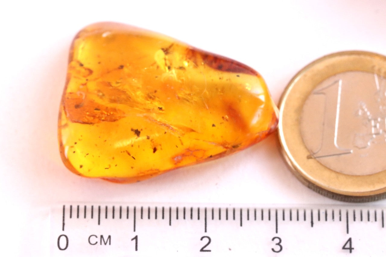 3 X Insect in Baltic Amber