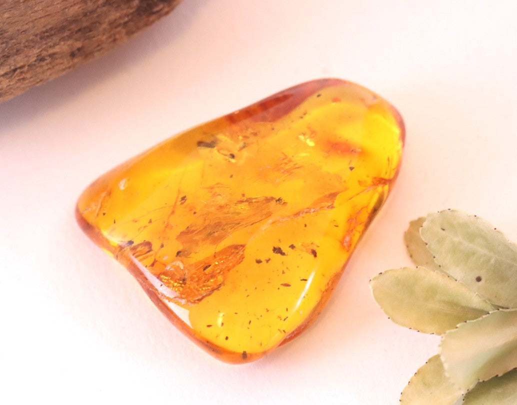 3 X Insect in Baltic Amber