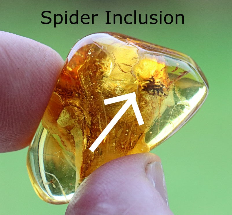 40 Million year Old Baltic Amber Spider Inclusion