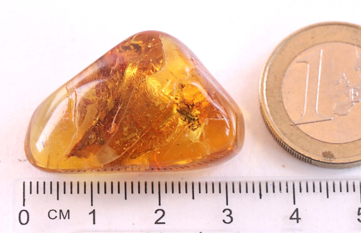 40 Million year Old Baltic Amber Spider Inclusion