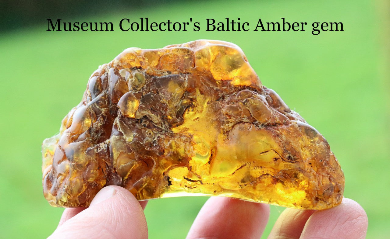 53grams of Museum Collector's Baltic Amber gem