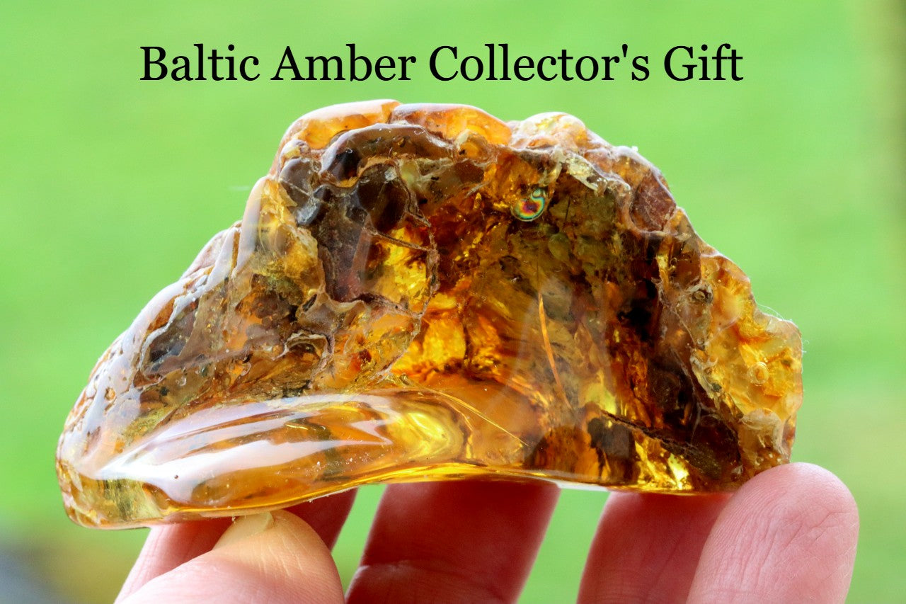 53grams of Museum Collector's Baltic Amber gem