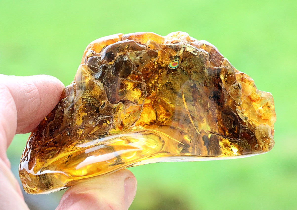 53grams of Museum Collector's Baltic Amber gem