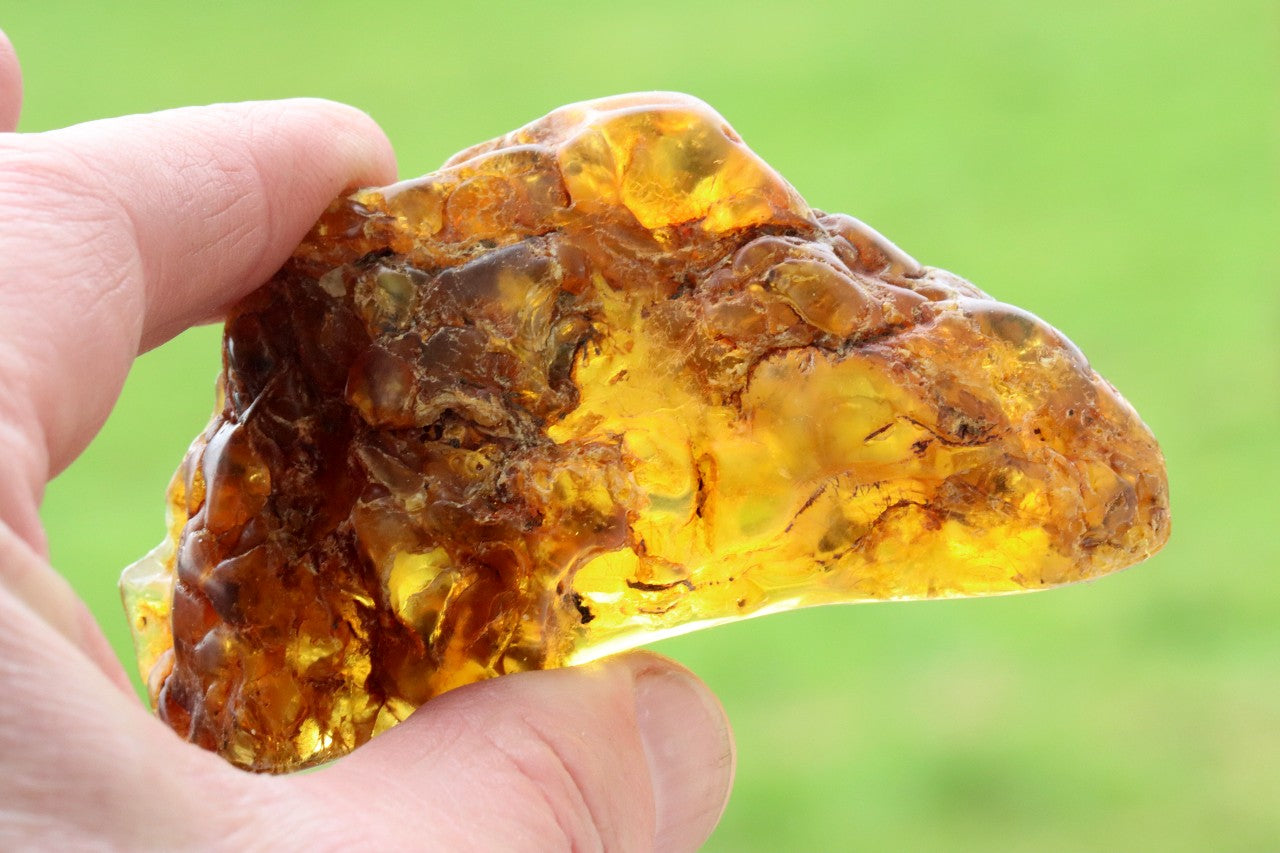 53grams of Museum Collector's Baltic Amber gem