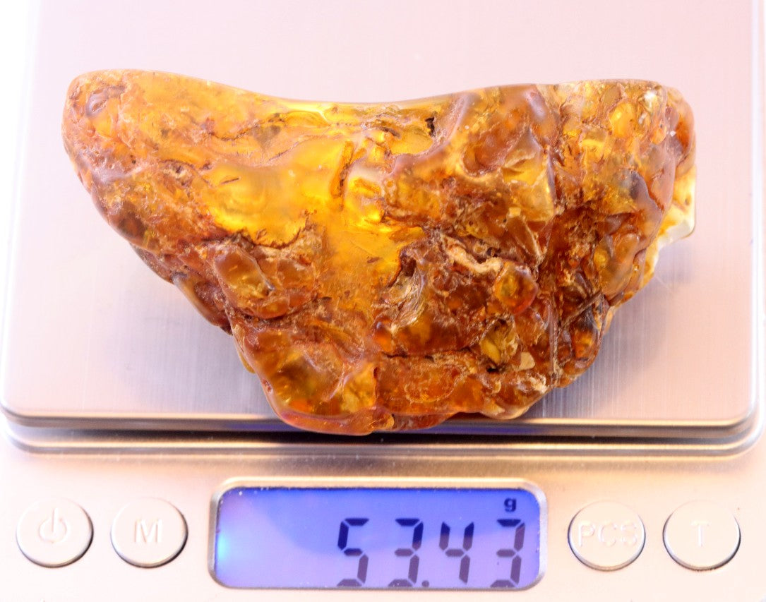 53grams of Museum Collector's Baltic Amber gem