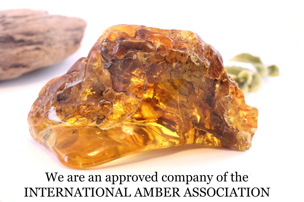 53grams of Museum Collector's Baltic Amber gem