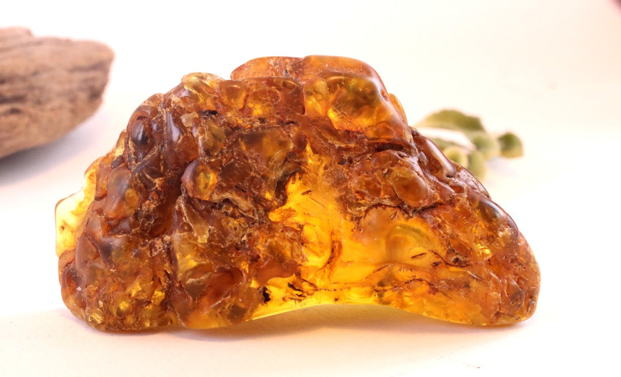 53grams of Museum Collector's Baltic Amber gem