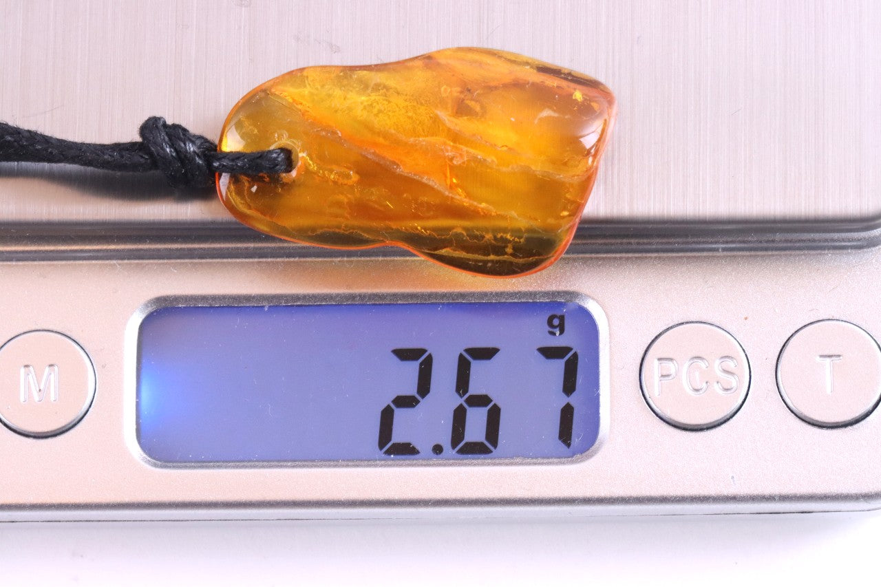 Baltic Amber Amulet with 2 X 40-Million-Year-Old Insect Inclusions