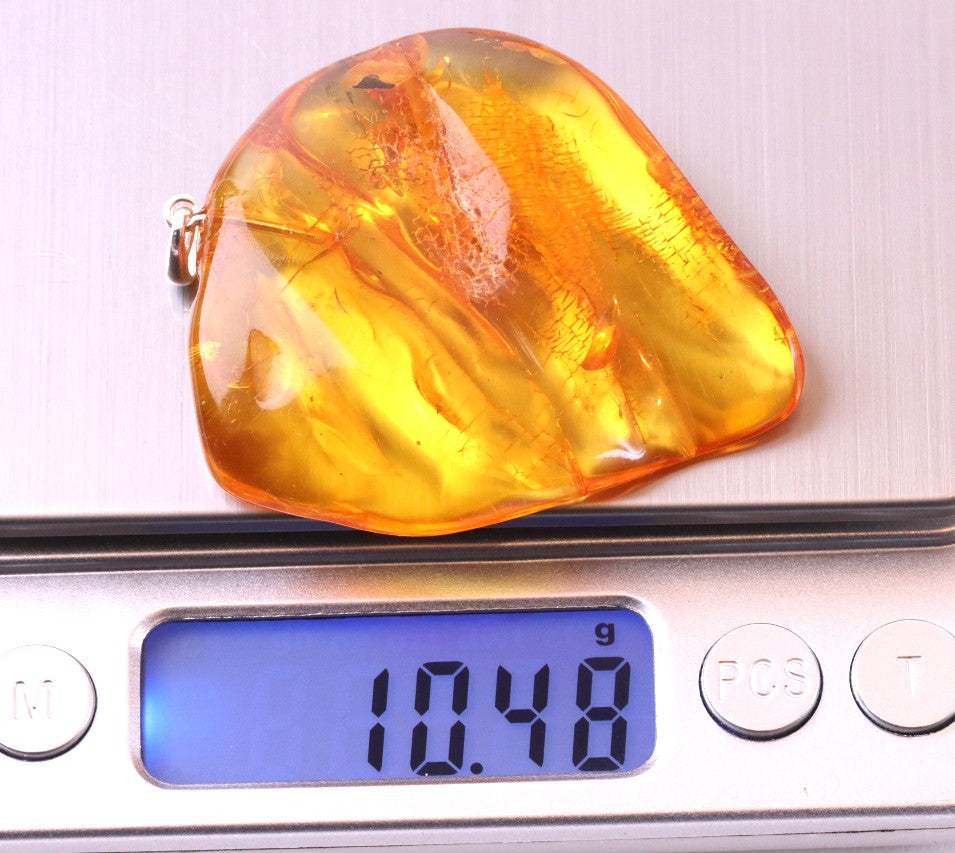 Natural Honey Amber Pendant in 925 Sterling Silver
