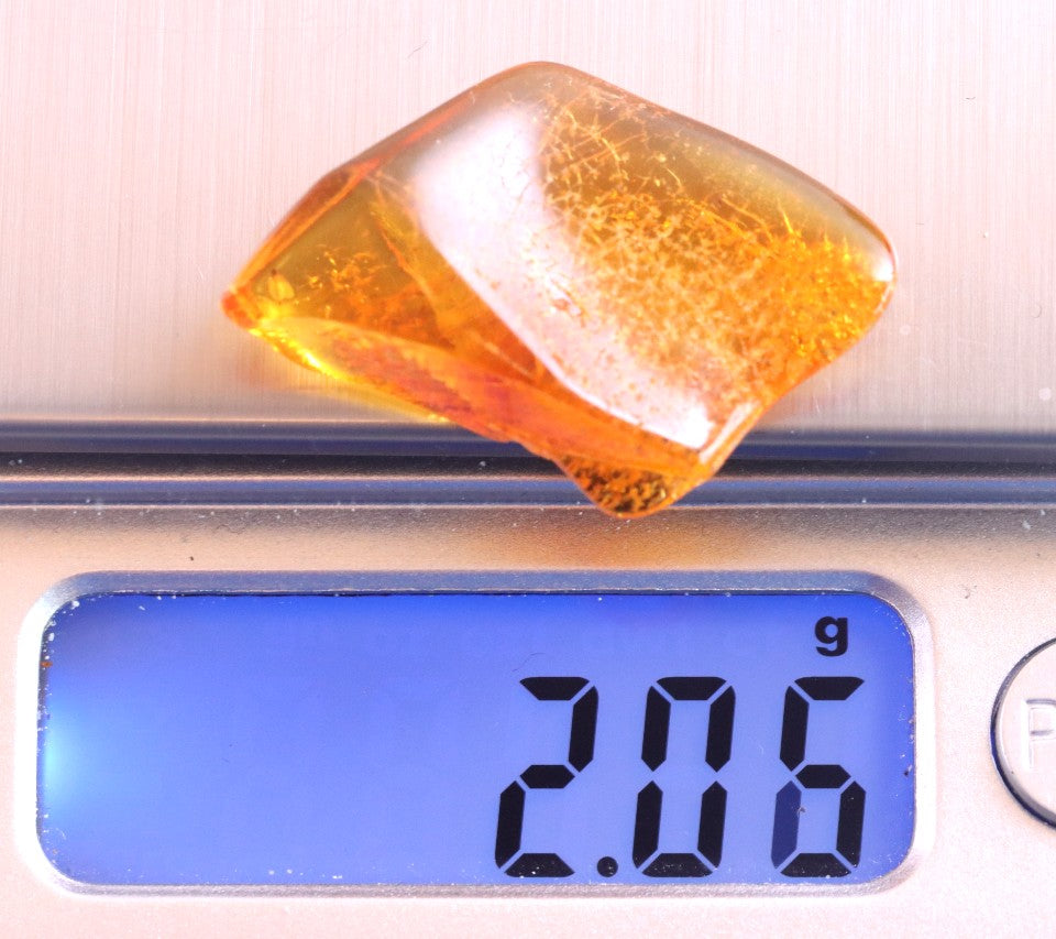 Lovely small piece to start your collection Jurassic Amber