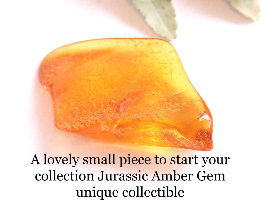 Lovely small piece to start your collection Jurassic Amber