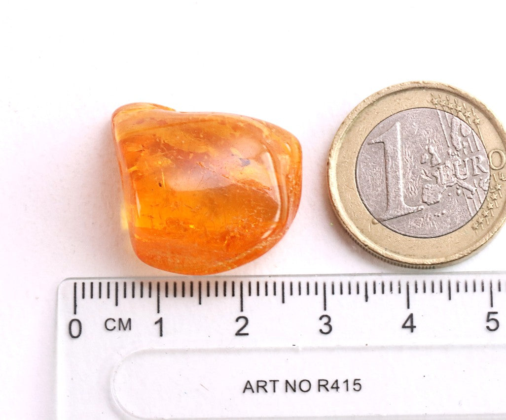 Insect in Amber – 40 Million-Year-Old Baltic Amber Fossil