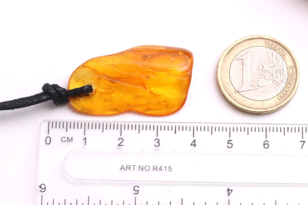 Baltic Amber Amulet with 2 X 40-Million-Year-Old Insect Inclusions