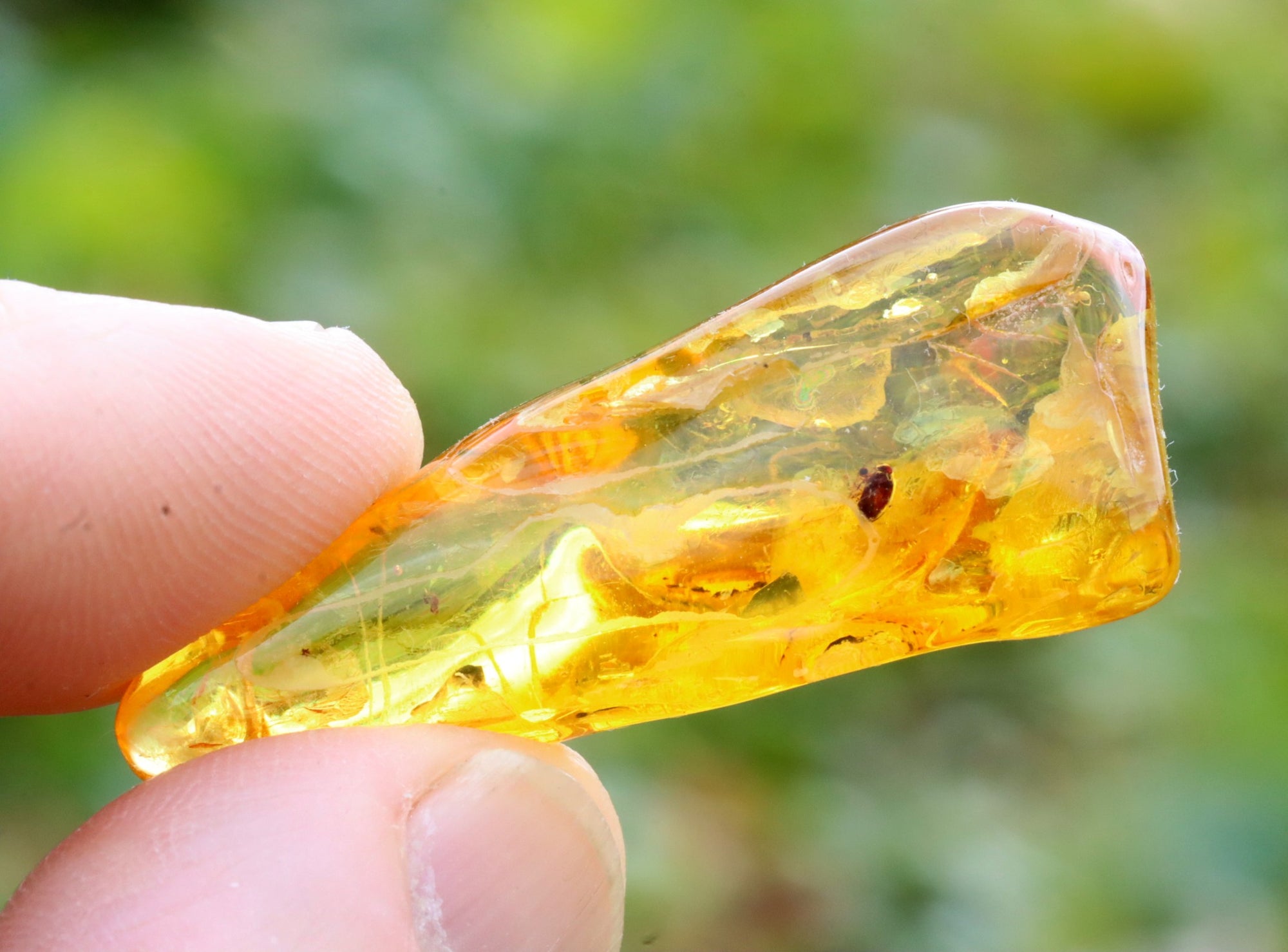 Bug in Amber