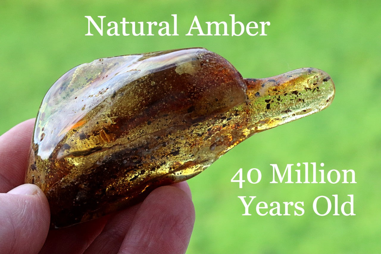 Natural Large 36g Baltic Amber Collector's Gem