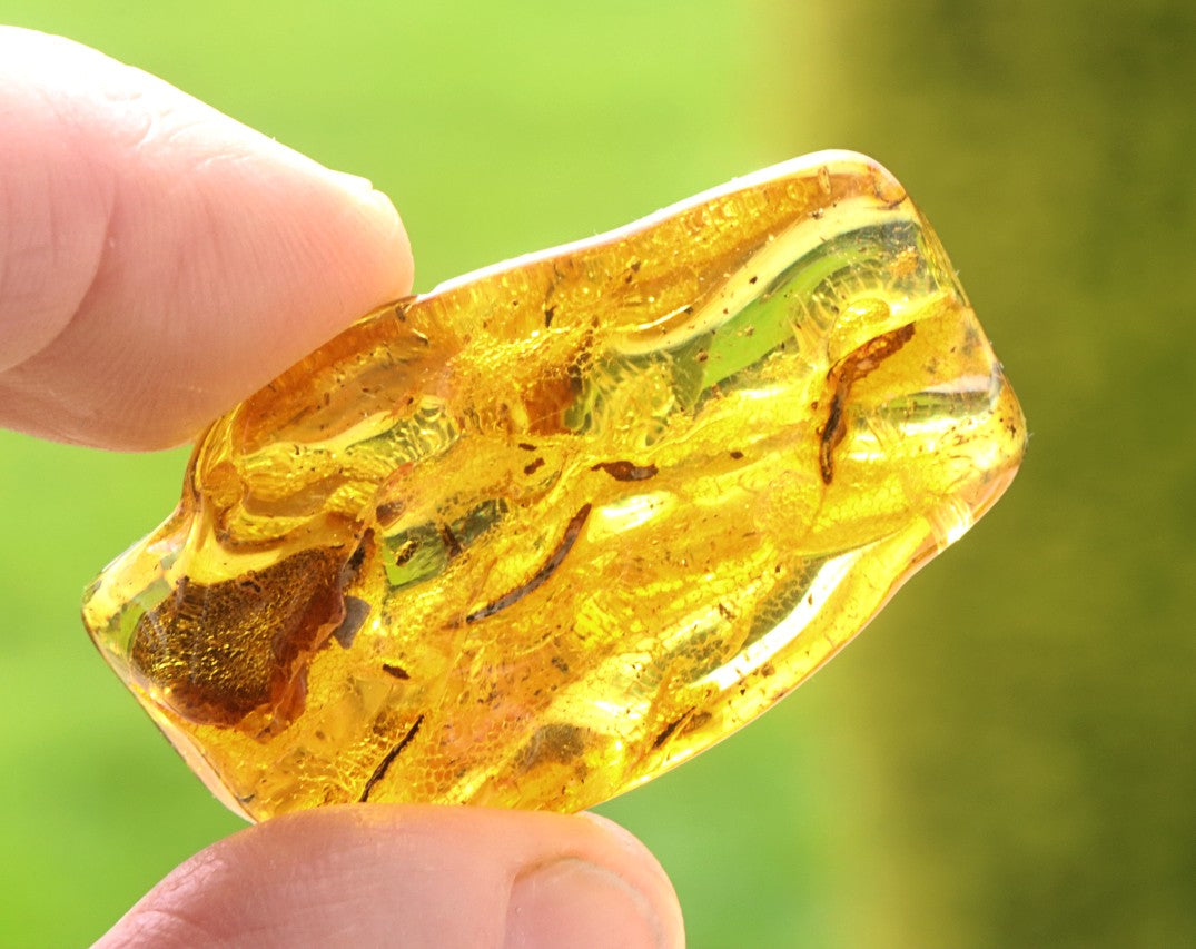 Baltic Amber Palm Stone – Smooth Meditation & Stress Relief Gem