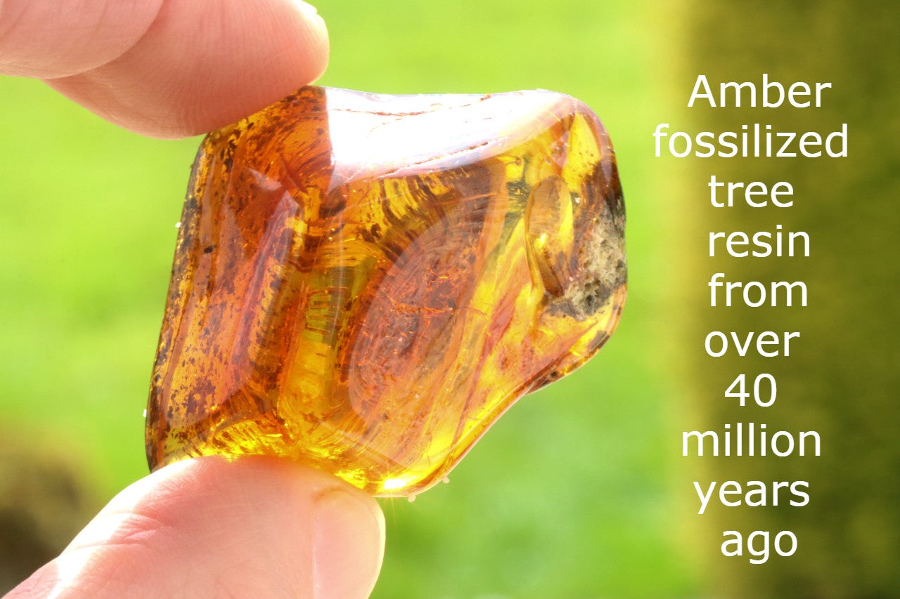 Baltic Amber Worry  Stress Relief Palm Stone for Meditation