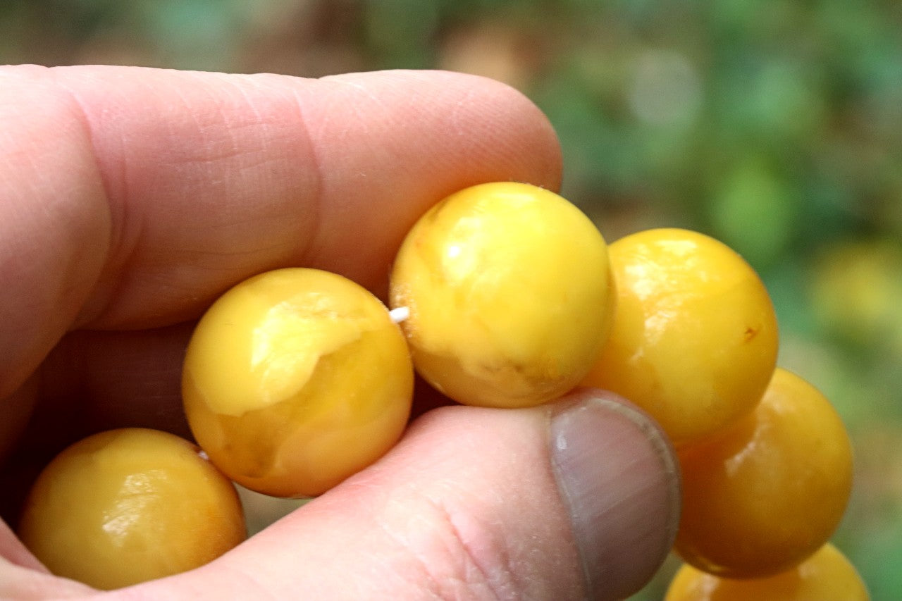 AAA Grade Beeswax Amber Beads – 14pcs, 18mm Round