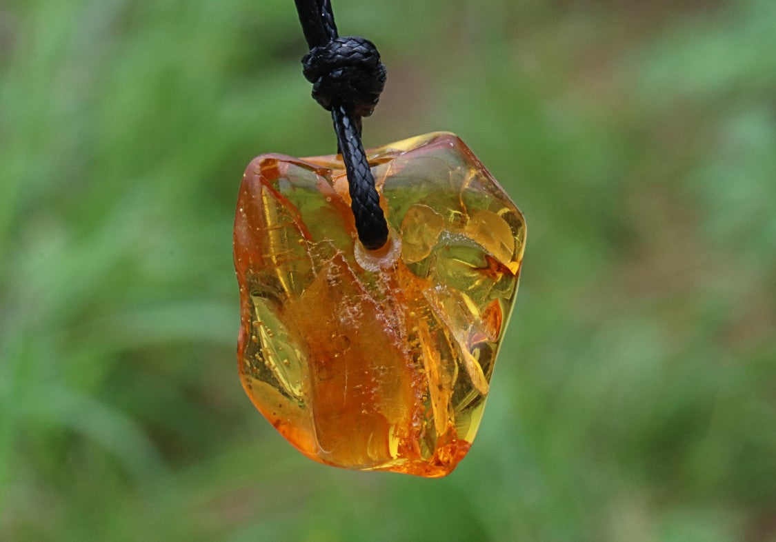 Amber Gem Amulet Necklace with Natural Insect Inclusion