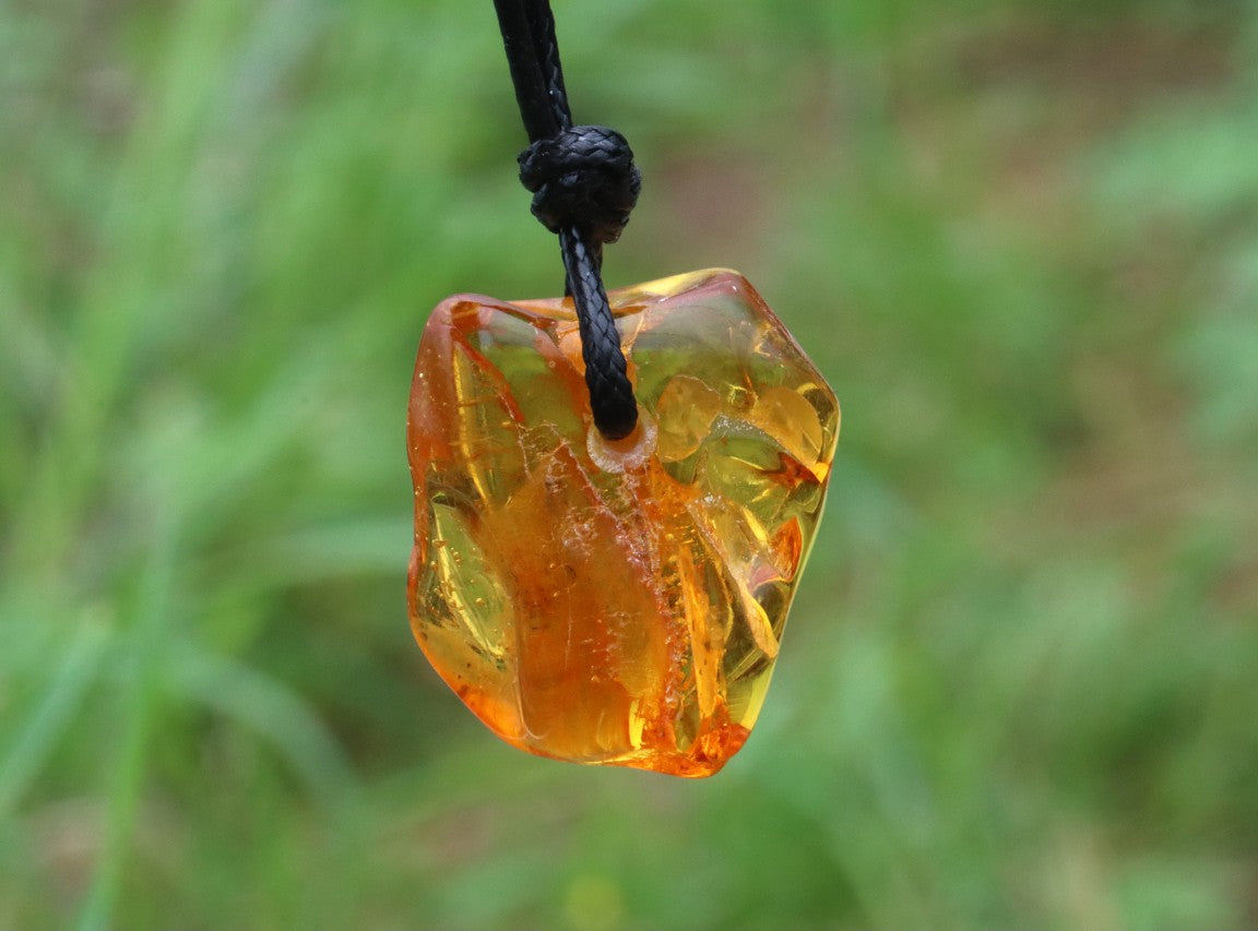 Amber Gem Amulet Necklace with Natural Insect Inclusion