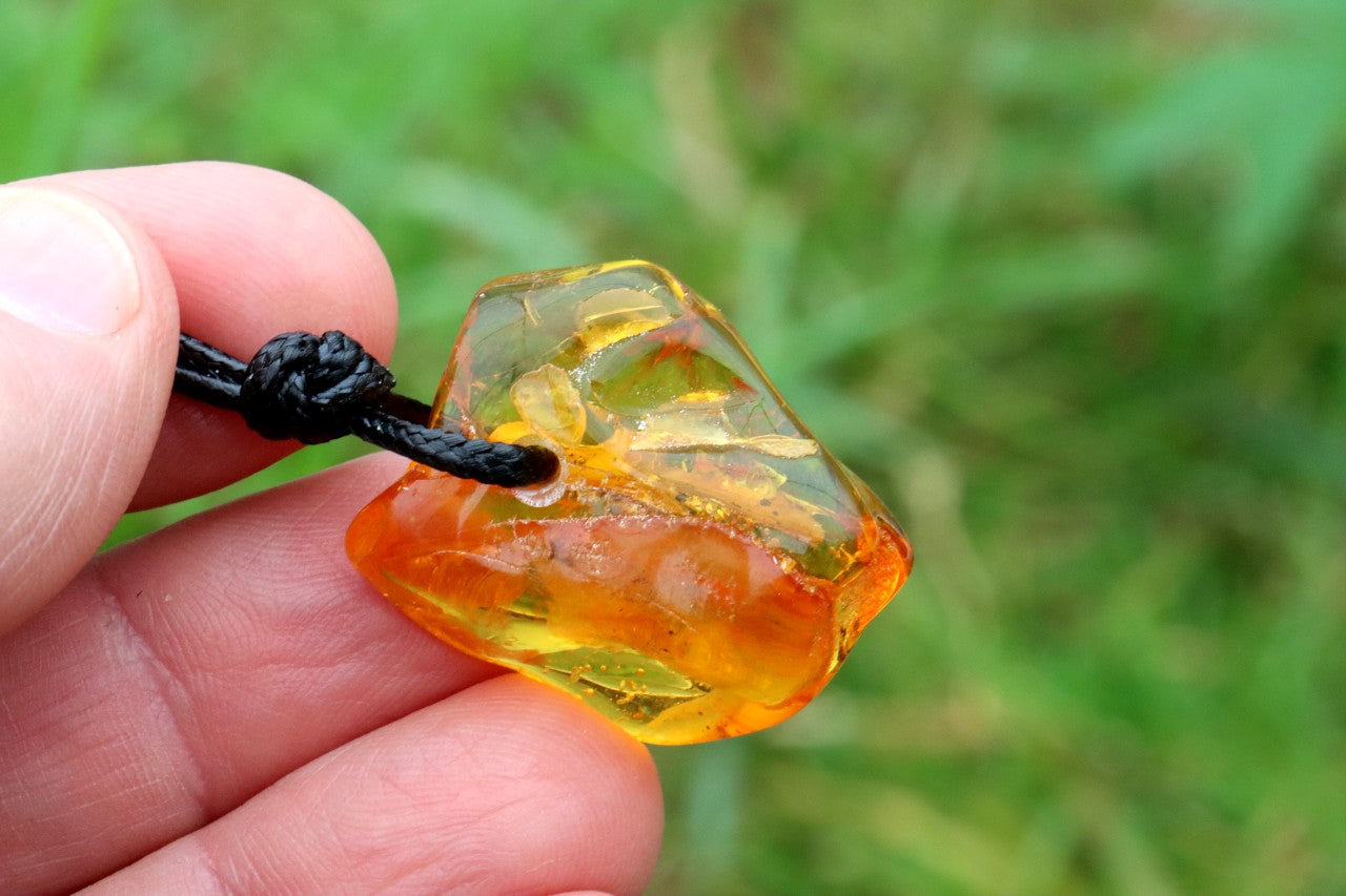 Amber Gem Amulet Necklace with Natural Insect Inclusion