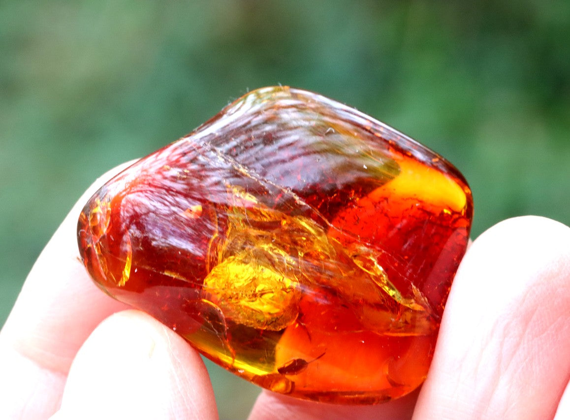 Smooth Polished Baltic Amber Gem – 40 Million-Year-Old Meditation Stone