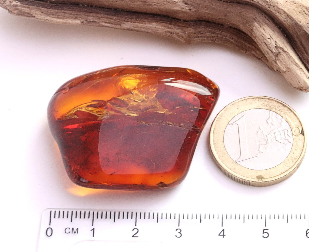 Smooth Polished Baltic Amber Gem – 40 Million-Year-Old Meditation Stone