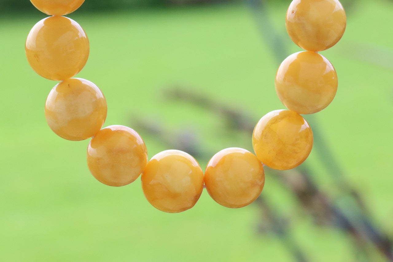 BAAA Grade Beeswax Baltic Amber Bracelet