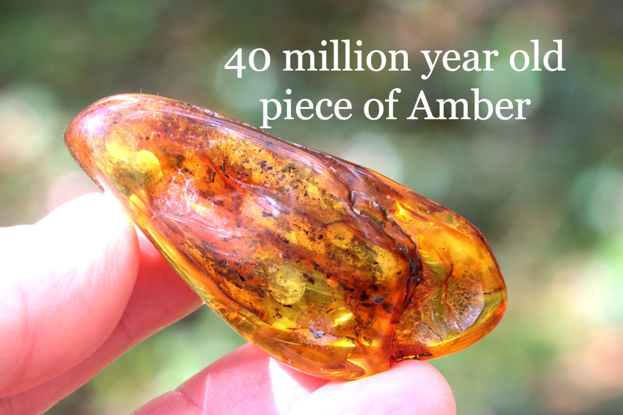 Baltic Amber Gemstone