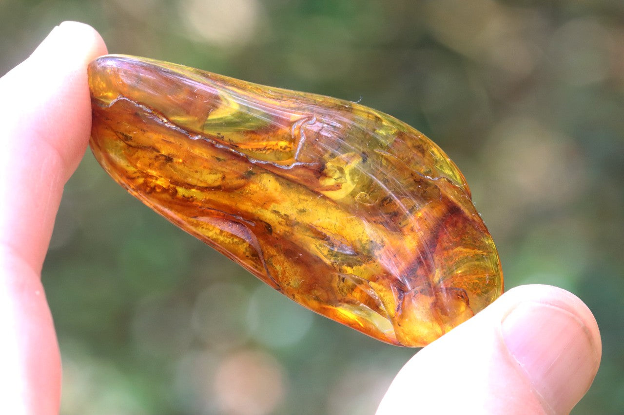 Baltic Amber Gemstone
