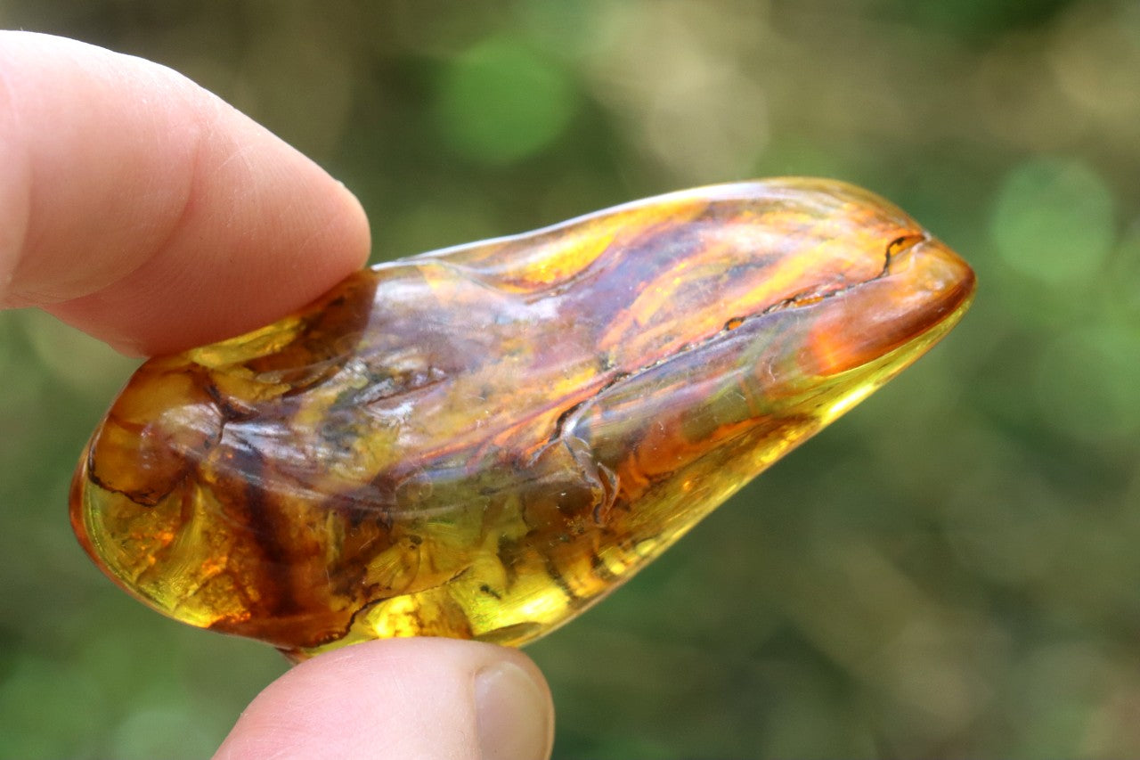 Baltic Amber Gemstone