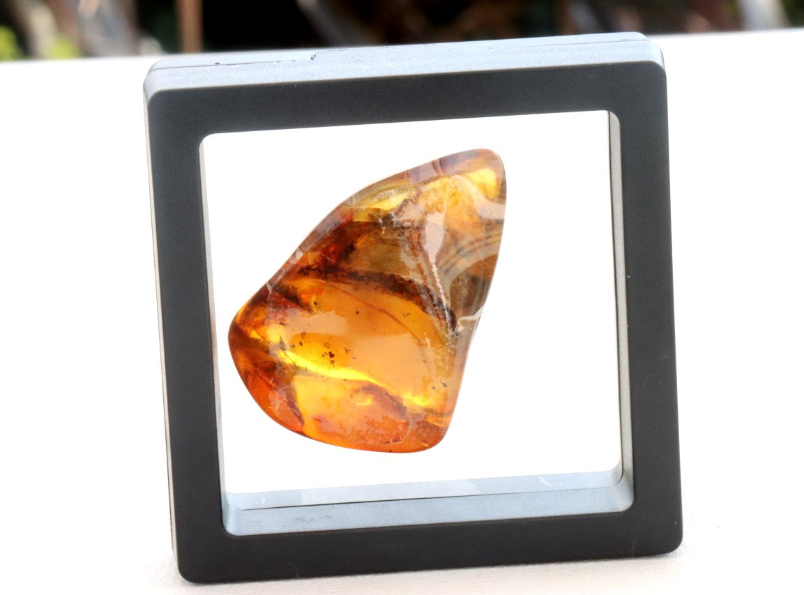 Amber Gem with Insect Inclusion Presentation Box Included