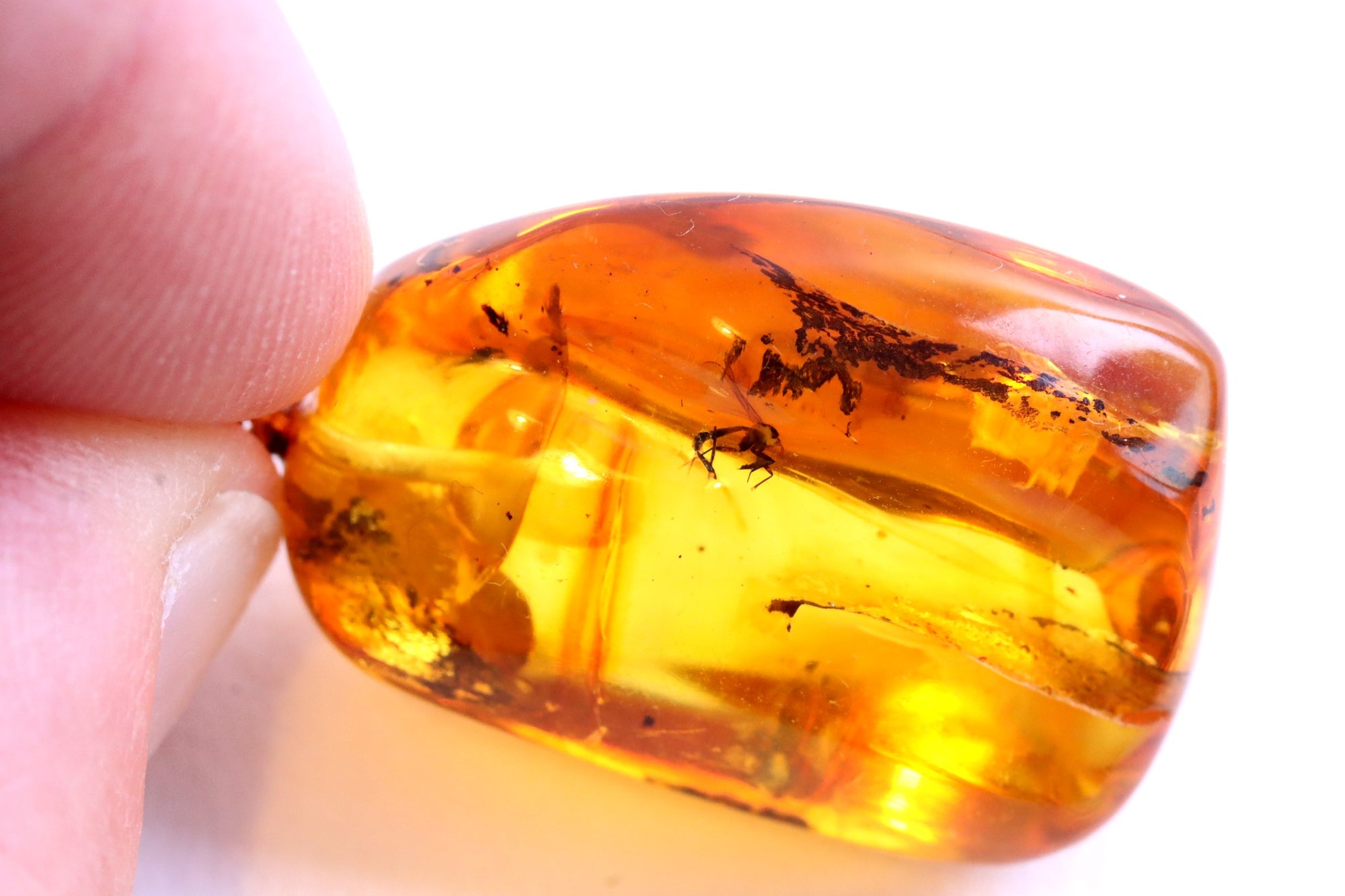 Amber Pendant  with Visible Inclusion