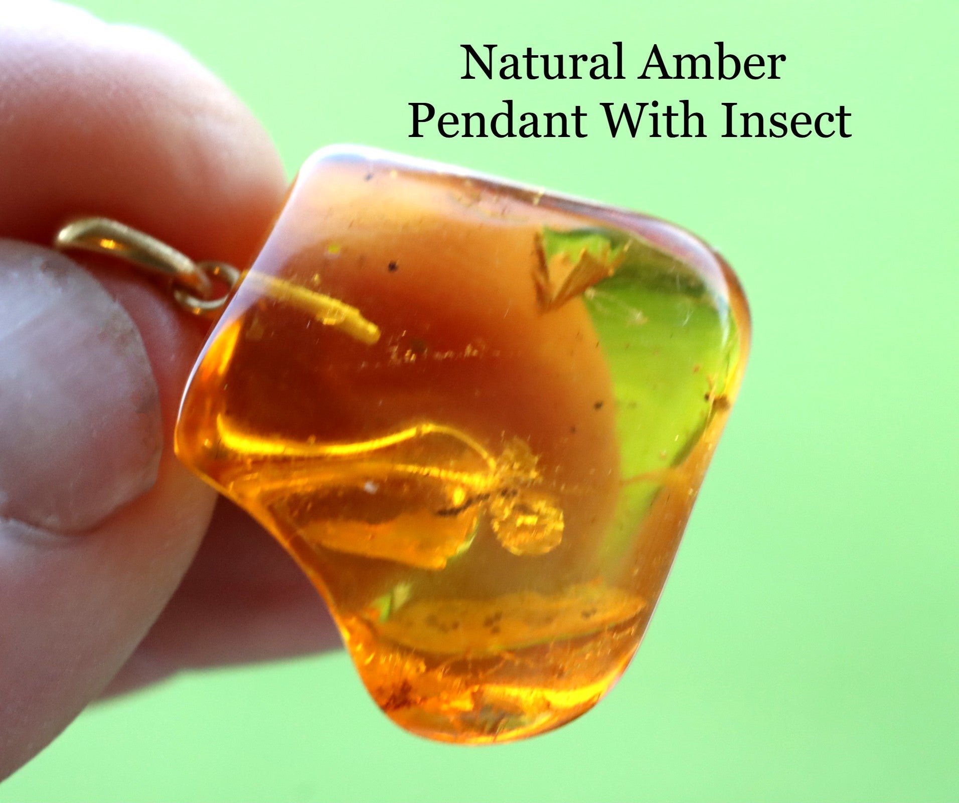 Gold Amber Pendant with Insect Inclusion