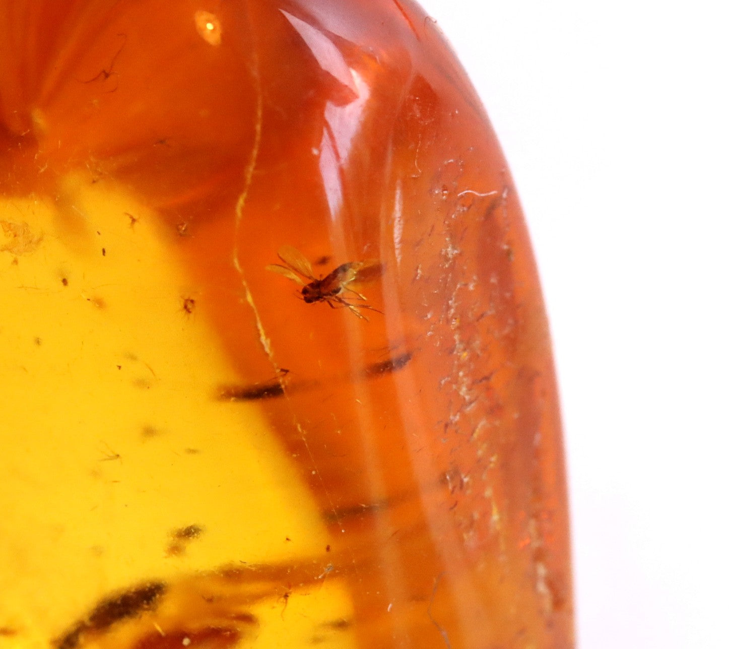 Gold Amber Pendant with Insect Inclusion