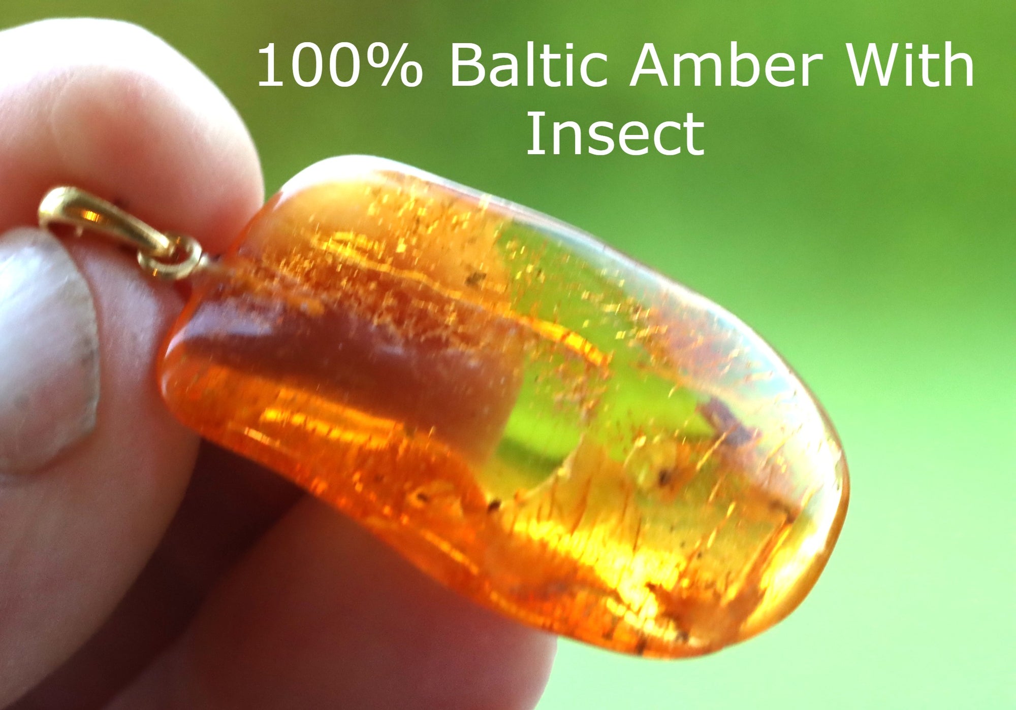 Amber Pendant on 925 Gold Plated Silver with Insect Inclusion