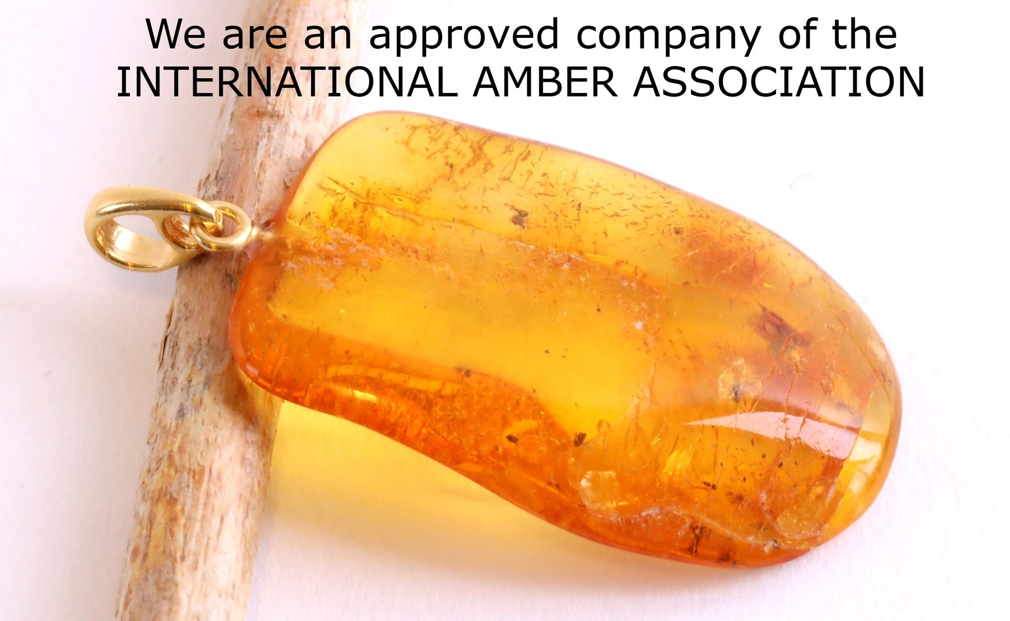 Amber Pendant on 925 Gold Plated Silver with Insect Inclusion