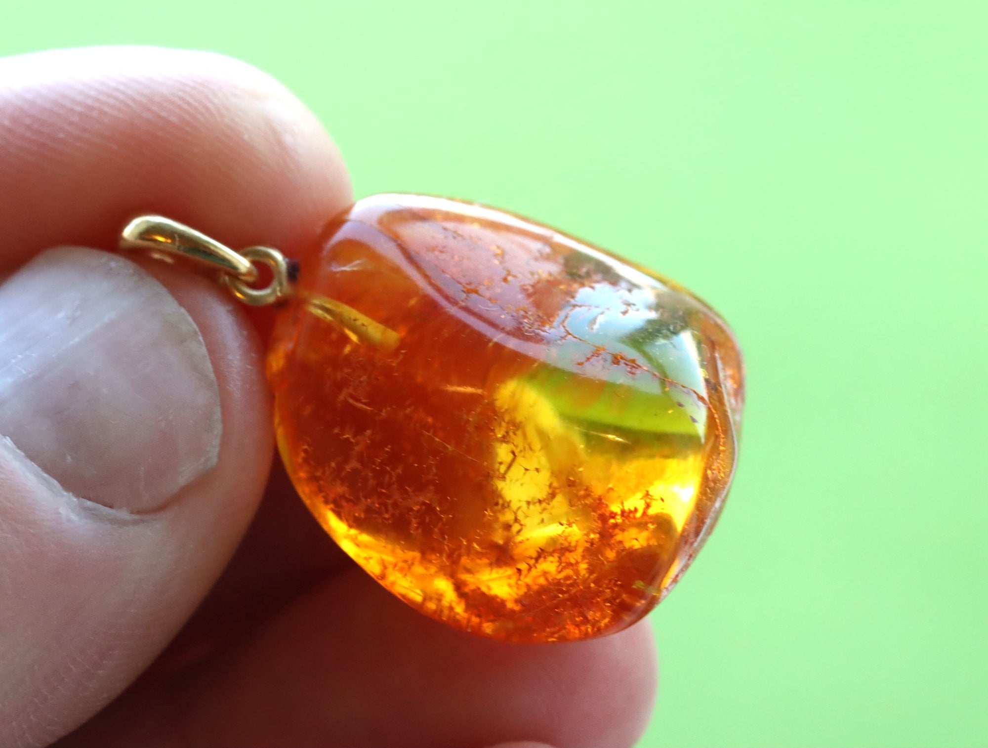 Amber Pendant Insect Inclusion