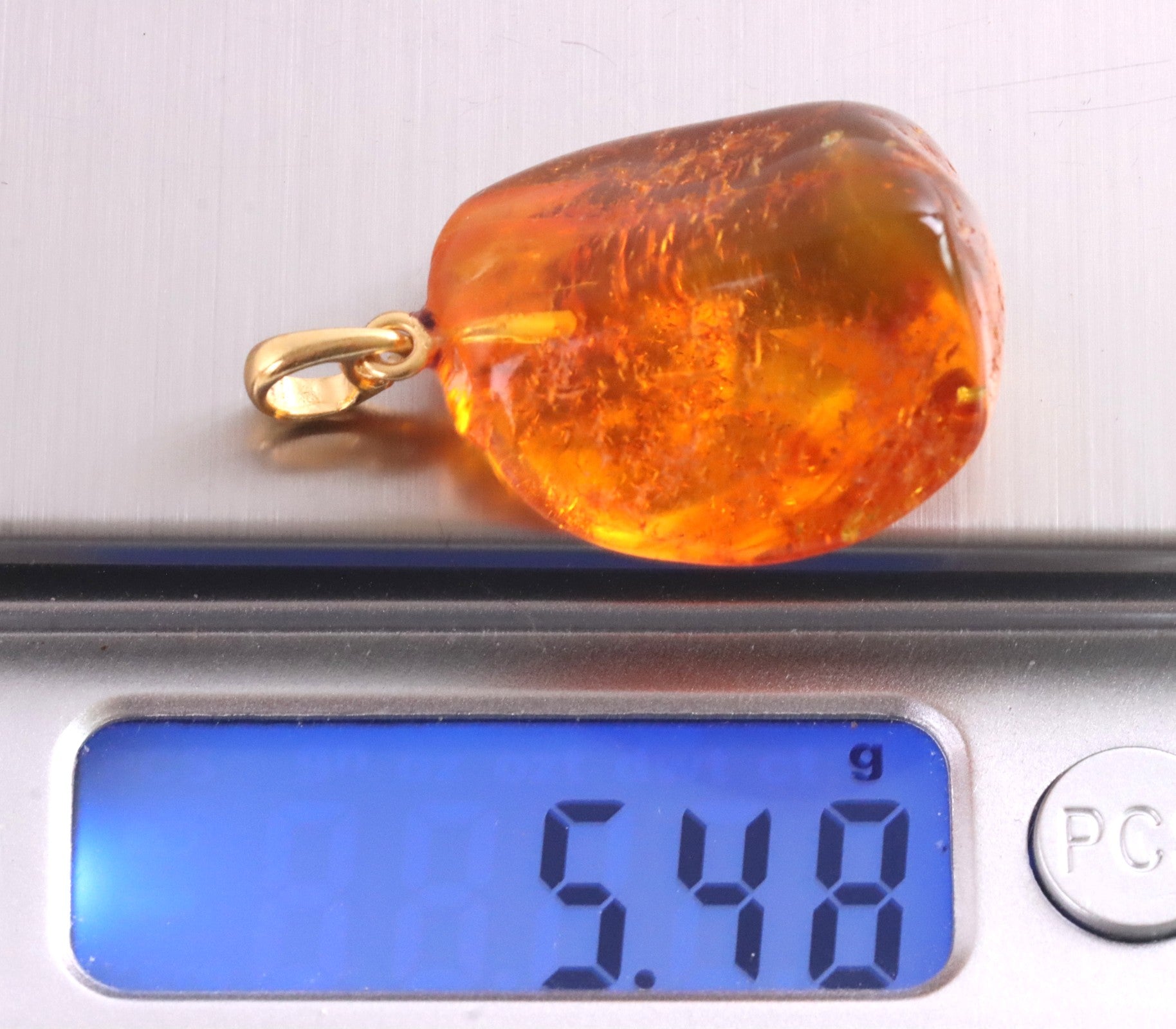 Amber Pendant Insect Inclusion